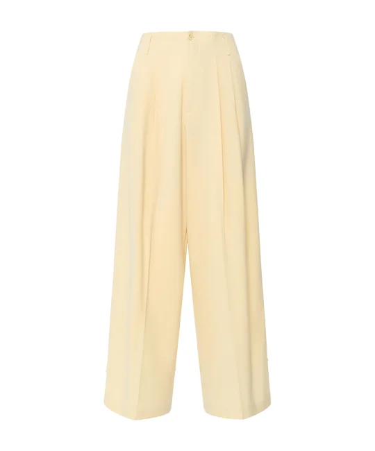 Pantalon taille haute à pinces — vue 5